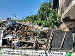 Best Commercial Junk Removal in Waymart, PA